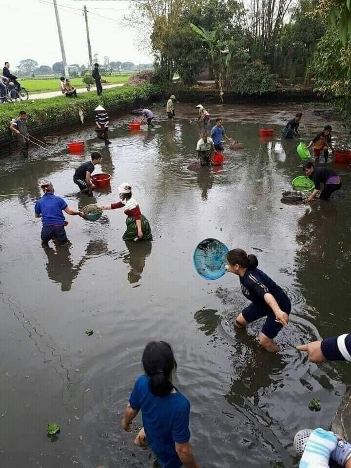 403726139 329218839745151 8473162925013646519 n