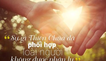 thu sau tuan 7 thuong nien nam ii mc 101 12.jpg