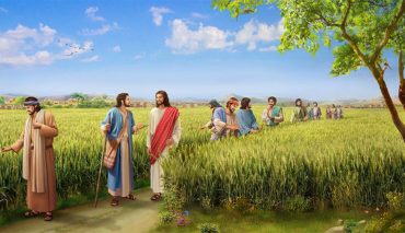 thu sau tuan 15 thuong nien nam ii ta muon long nhan chu dau can le te mt 121 8.jpg