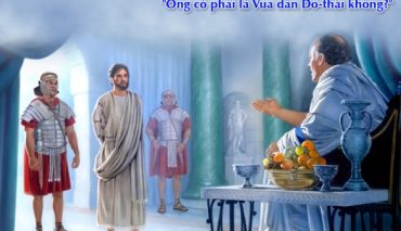 chua nhat 34 thuong nien nam b duc giesu vua niem tin ga 1833b 37.jpg