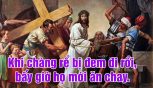 thu sau sau le tro mt 914 15.jpg